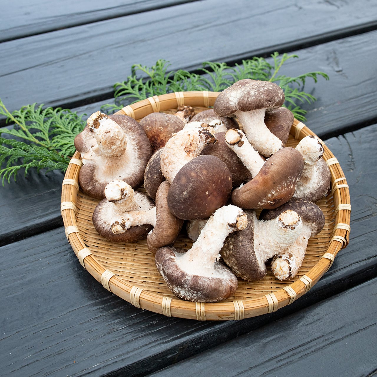 佐倉きのこ園ネットショップ