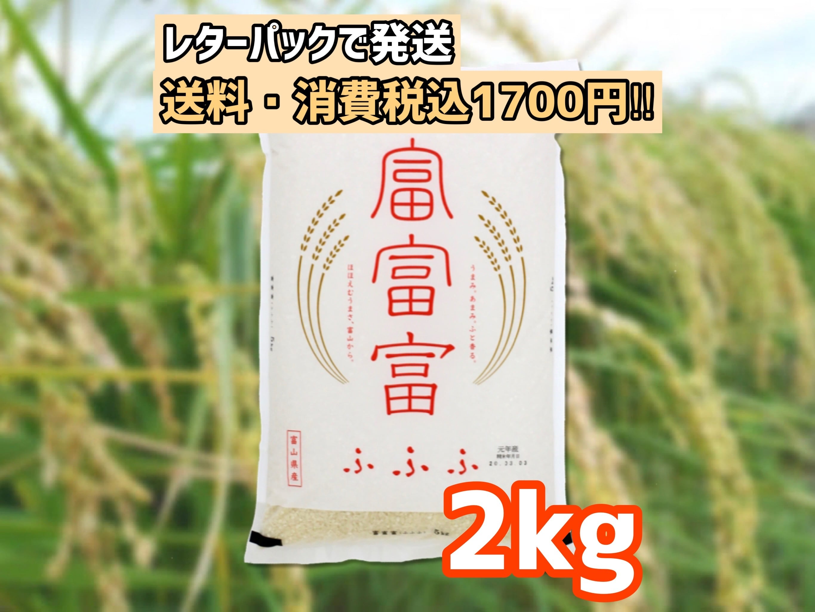「コシヒカリ・ふふふ・とやまのお米・富山県産・おいしいお米」　とやま食飯　新米】富富富　『2kg』