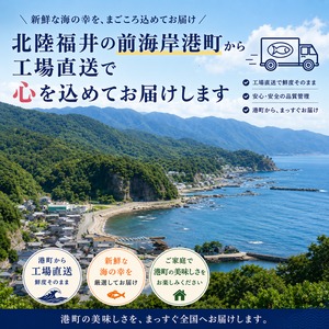 北陸福井つまみーる　5種セット　無添加　食べきりサイズ