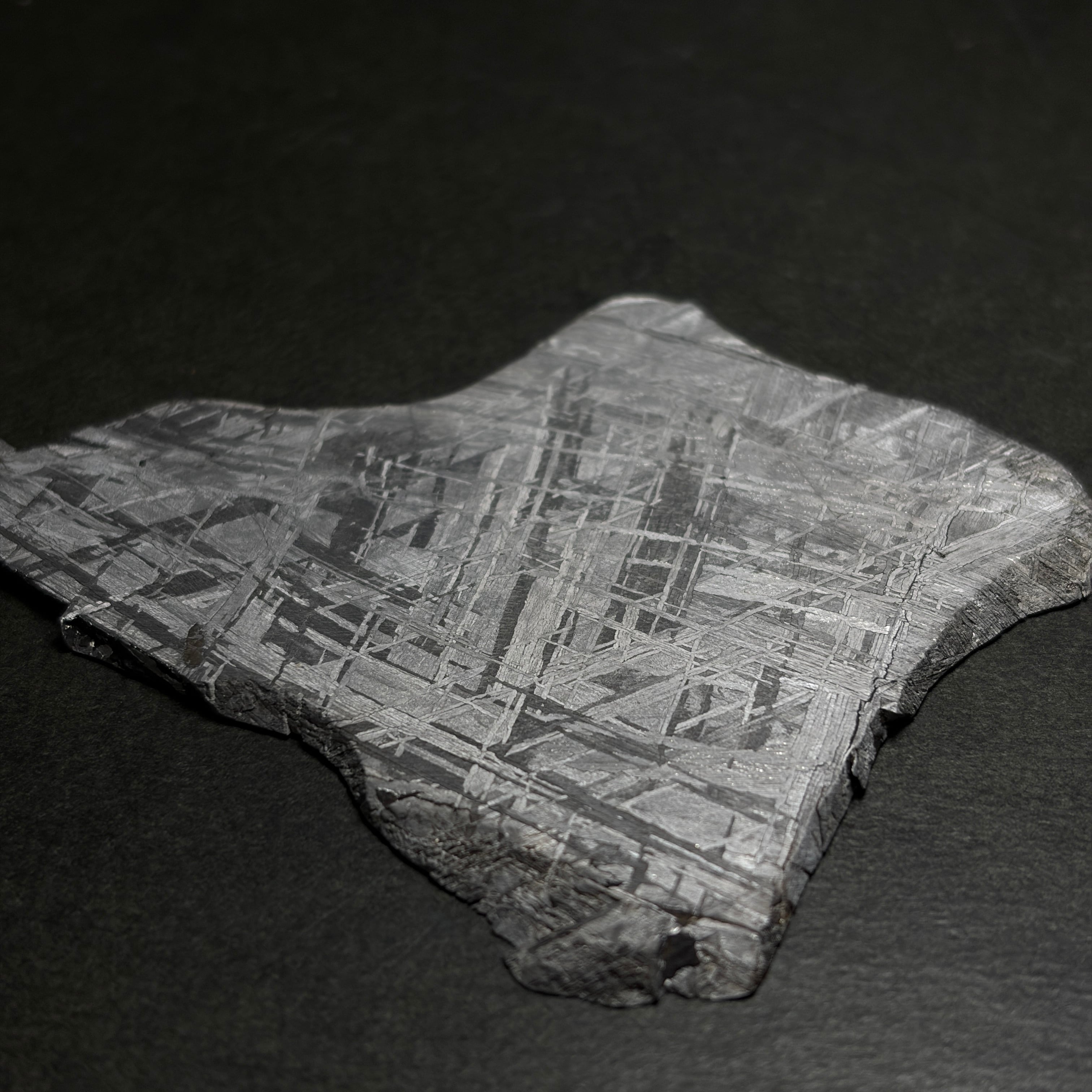隕石絵画】ギベオン隕石 Gibeon Meteorite 26050602 | 【隕石屋