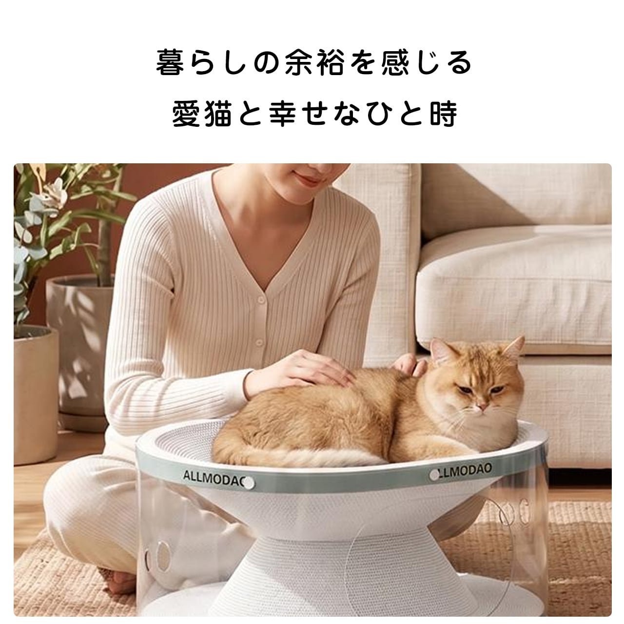 JL46 .春夏新作 猫用ベッド・爪とぎ・トンネル一体型 お手入れ簡単