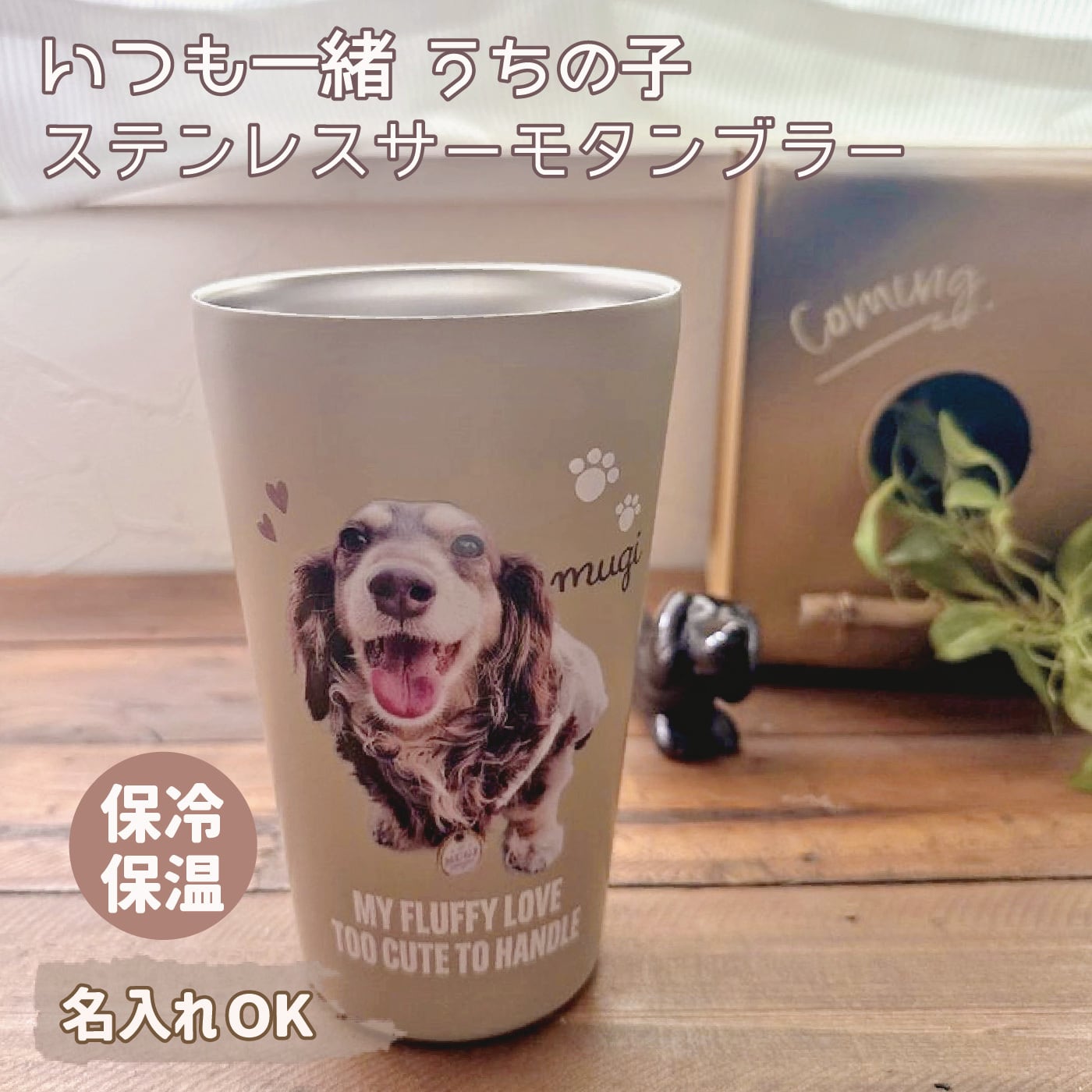 2026 | 雑貨zakka-candy
