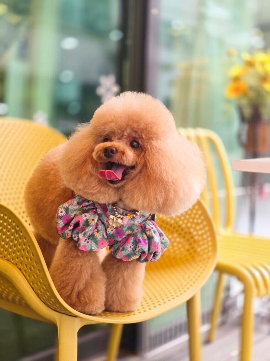 《予約》№LM0002 フラワーブラウス