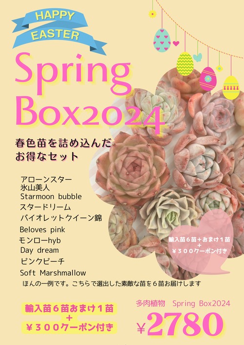 ♡Spring BOX♡春色苗詰め合わせセット　