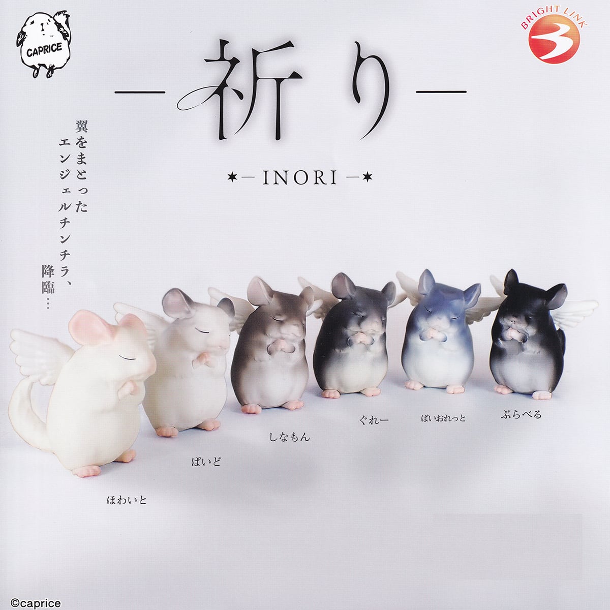 祈り INORI ブライトリンク 【全6種フルコンプセット＋DP台紙