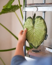 Daily Botanical Towel 3枚セット|好きな柄を選べる(全8種から)|ギフトラッピング対応