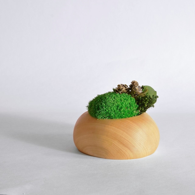 プリザーブドモス oasis(オアシス) / Preserved moss oasis