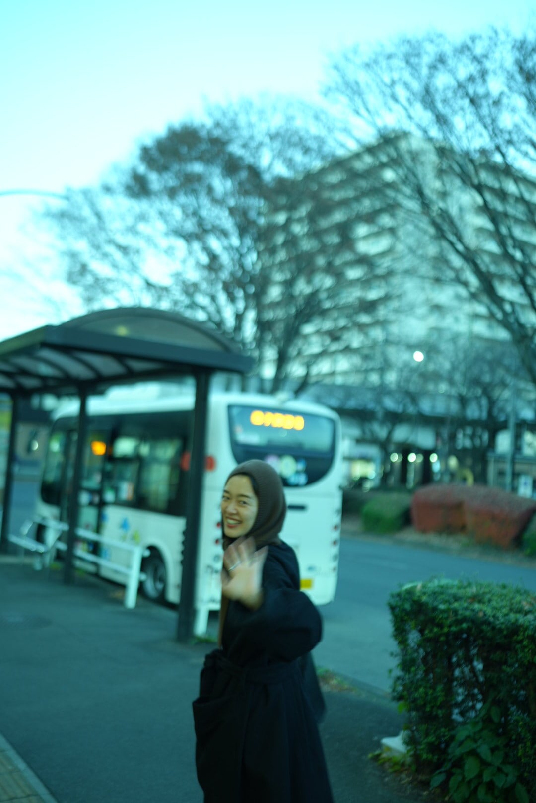 MOON TREE PLANET - ZUKIN brown | Pay ID