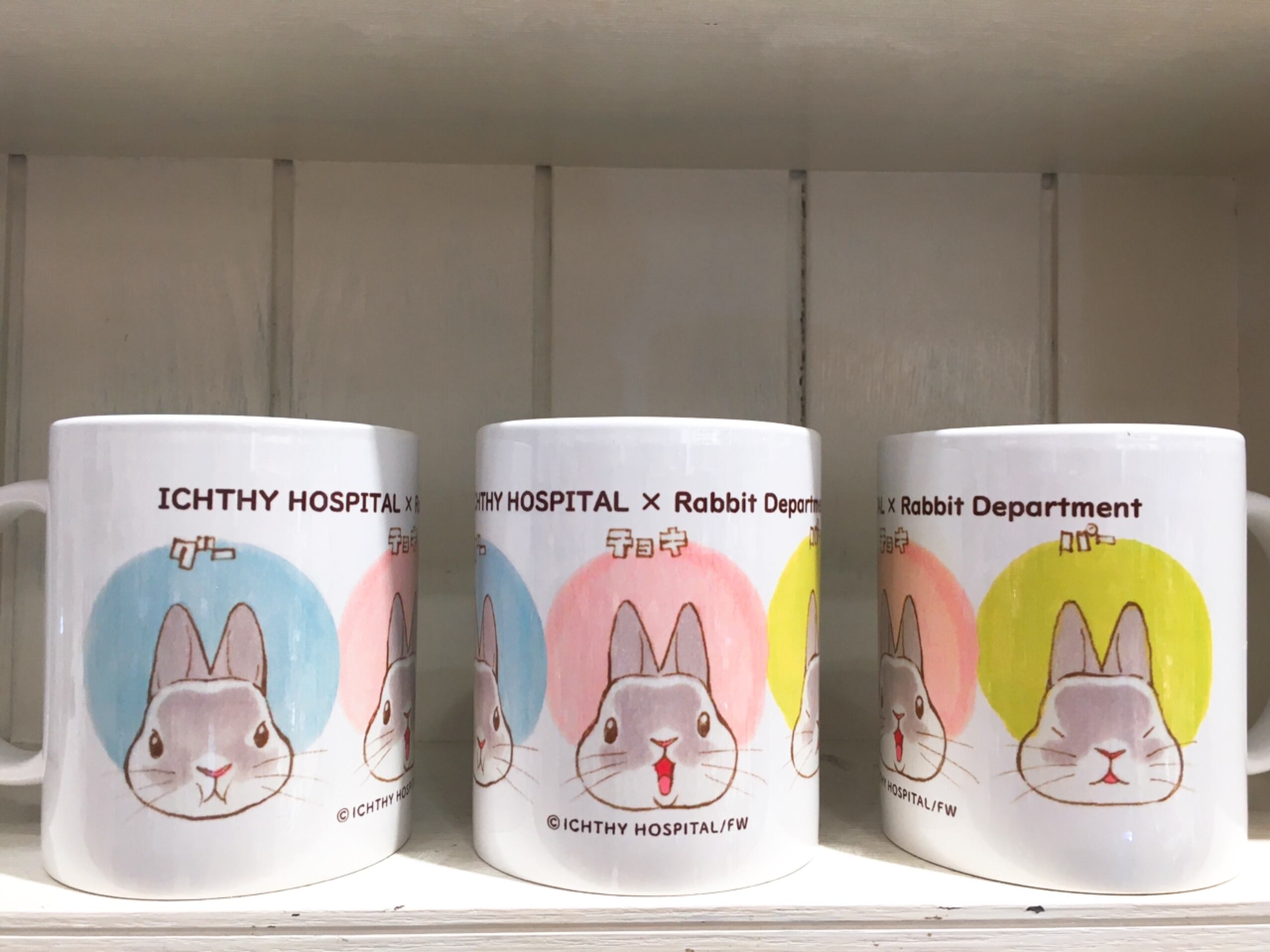 井口病院／ICHTHY HOSPITAL | ラビットデパートメント（Rabbit