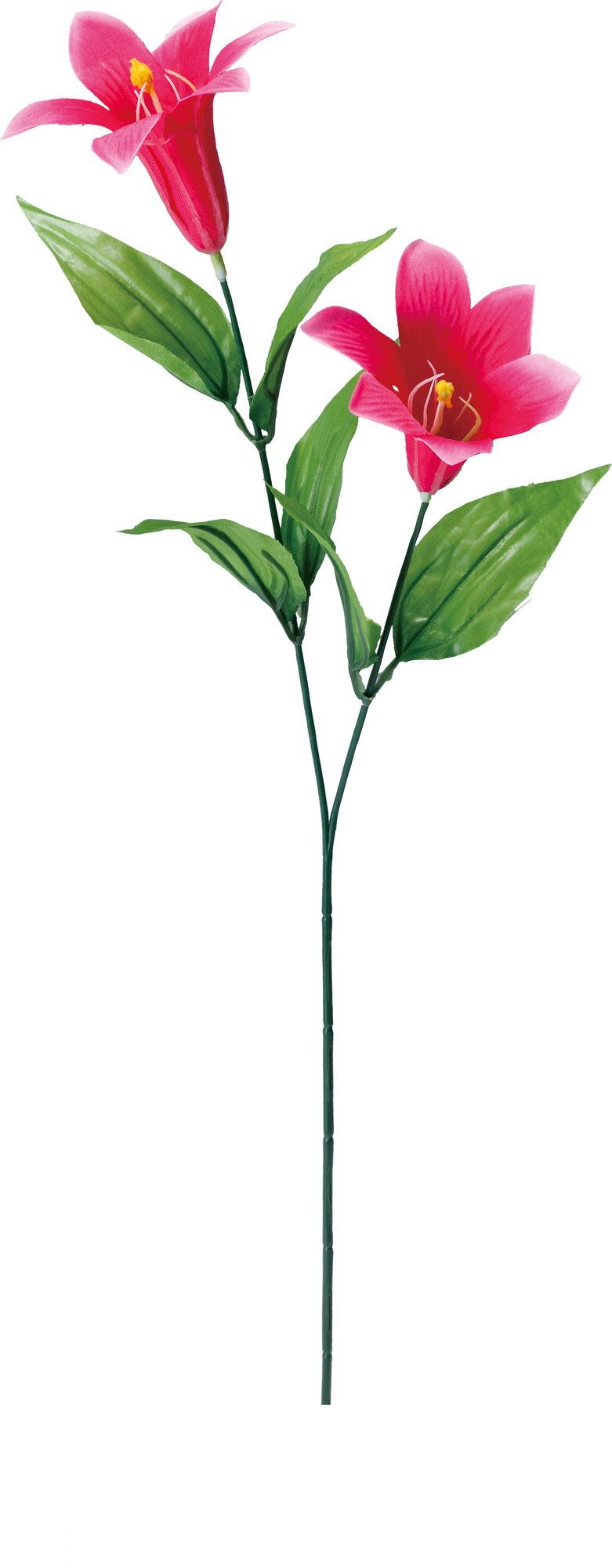 Flower.様専用 AY-N22DM CS-220DFR-W 2台分 【公式通販】 Flower.様専用 AY-N22DM CS-220DFR-W 2台分 【公式通販】