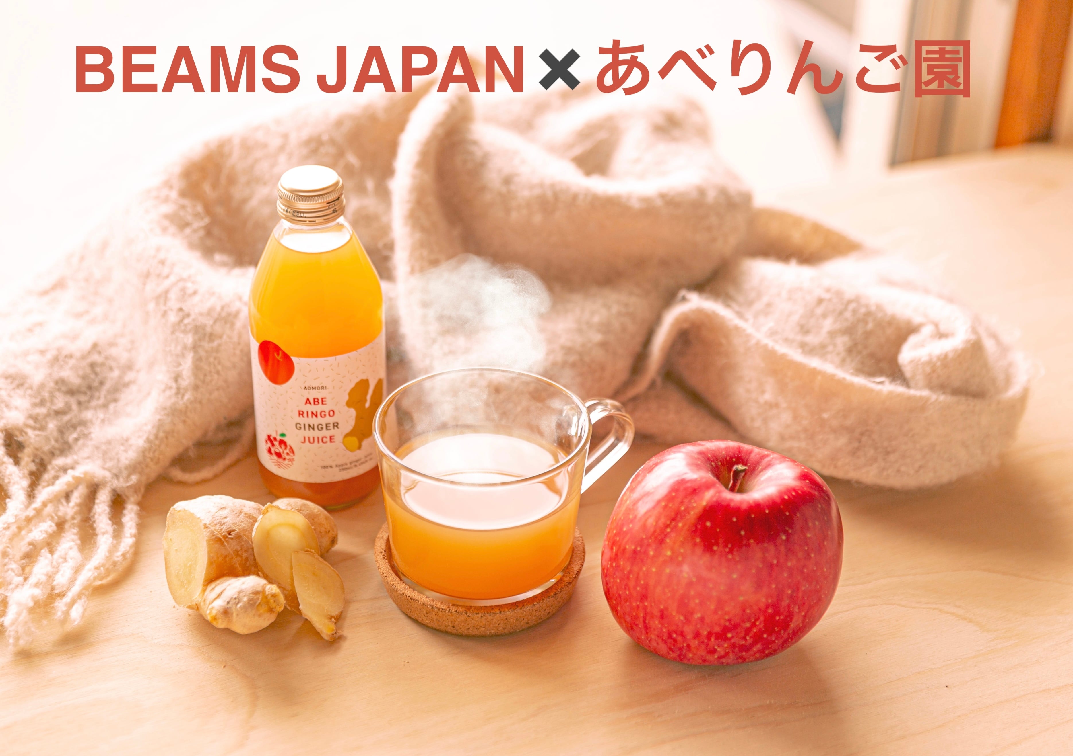 BEAMS JAPAN×あべりんご園 アップルジンジャージュース (250ml×6本