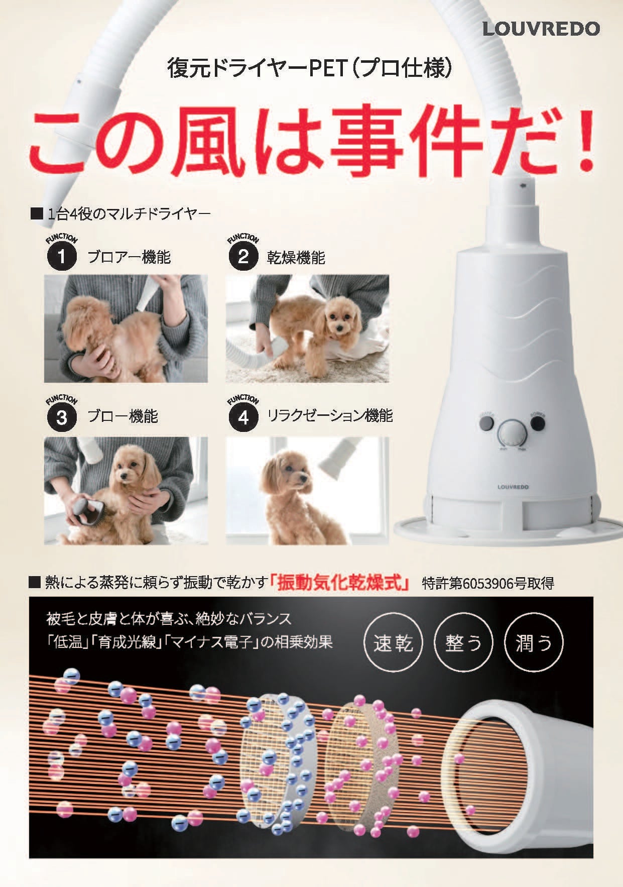 復元ドライヤーPET 4573178856985 | SyanteOnlineShop 復元ドライヤーPET 4573178856985 | SyanteOnlineShop
