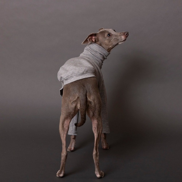 ハイネックタートルロングTシャツ　gray / イタグレ服