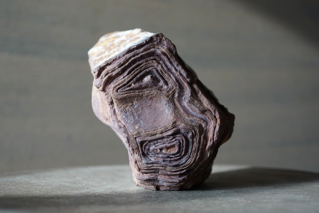 クムル産火山砕屑岩 Volcano-sedimentary Rock 1125