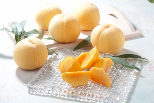 【桃】黄金桃 ３㎏（8ｰ10個） ＜ 8/20-30頃の限定品♬＞ Golden Peach "Ogonto"