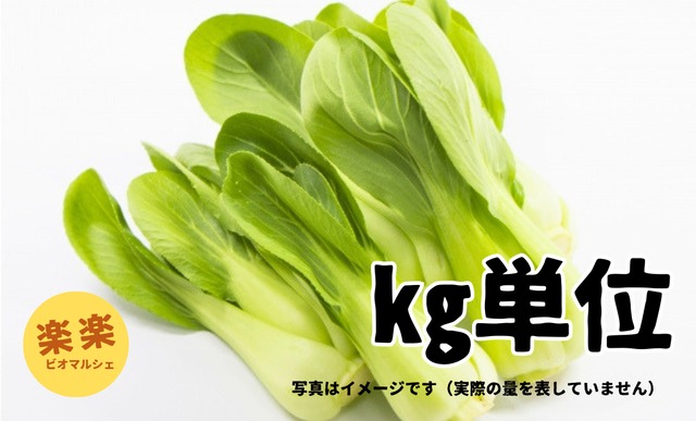 ミニチンゲン菜（大容量お得サイズ・㎏単位）