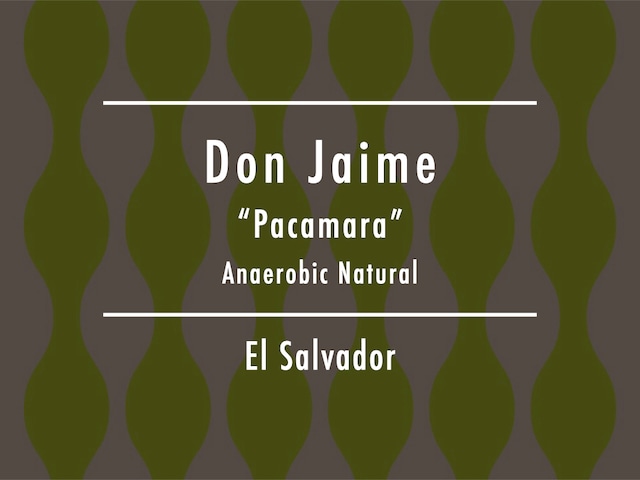 Coming Soon!!!【200g】エルサルバドル / Don Jaime "Pacamara" Anaerobic Natural