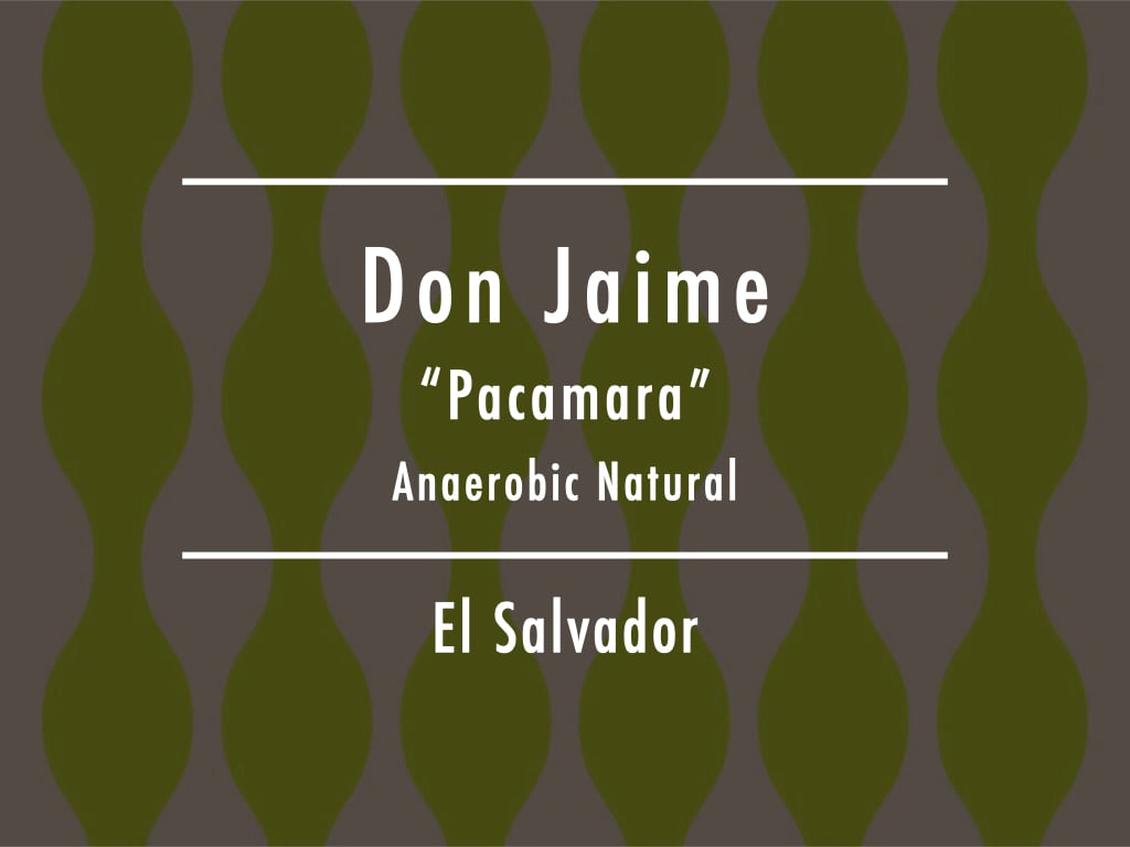 Coming Soon!!!【200g】エルサルバドル / Don Jaime "Pacamara" Anaerobic Natural