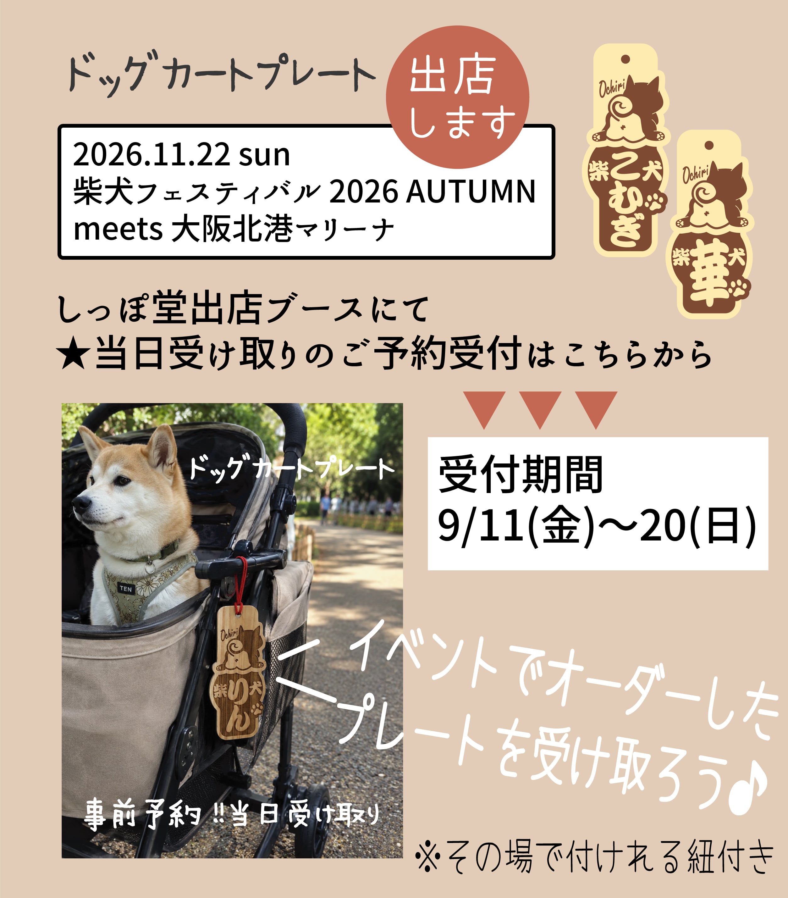 柴犬 | しっぽ堂