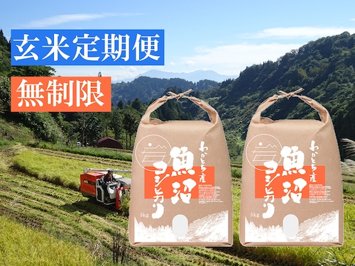 【玄米定期便 無制限コース】令和５年産米 魚沼コシヒカリ 特別栽培米 10kg