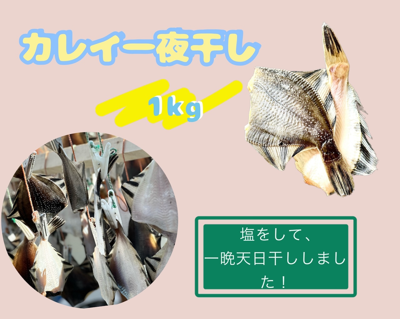 カレイ一夜干し 1kg入り