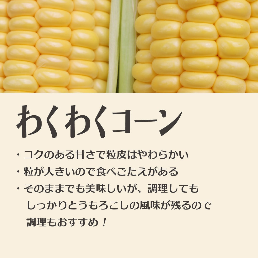 送料半額】朝採れとうもろこし10本～12本（わくわくコーン