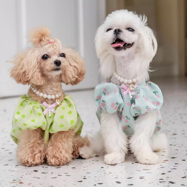 パフスリーブトップス　犬服　00043