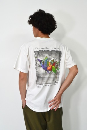 90s Jimmy Buffett "オウム" music animal T-shirt