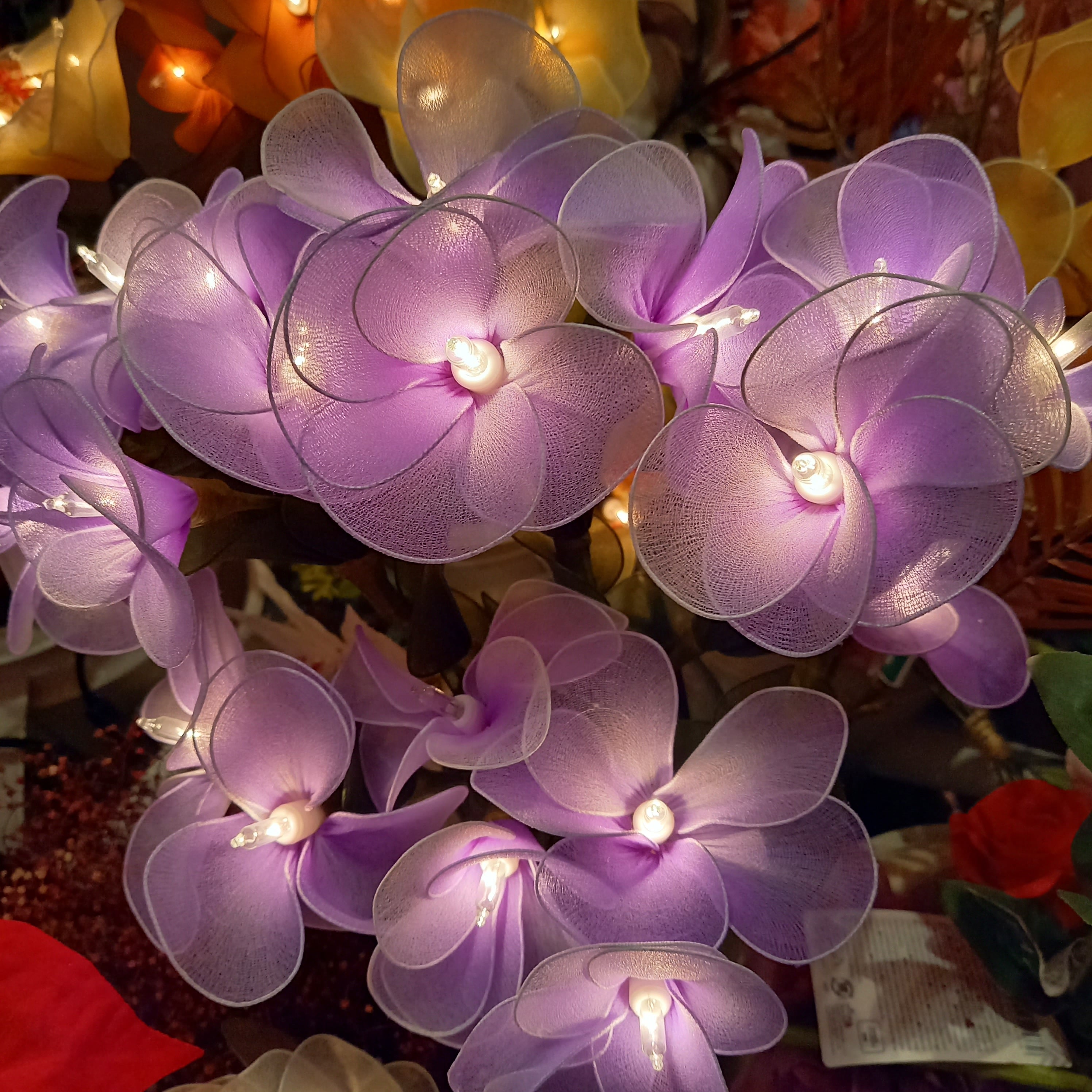 foryouflowerillumination