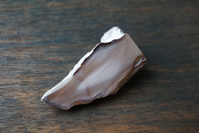 ハンガリー産珪化木 Betula sp. 1625