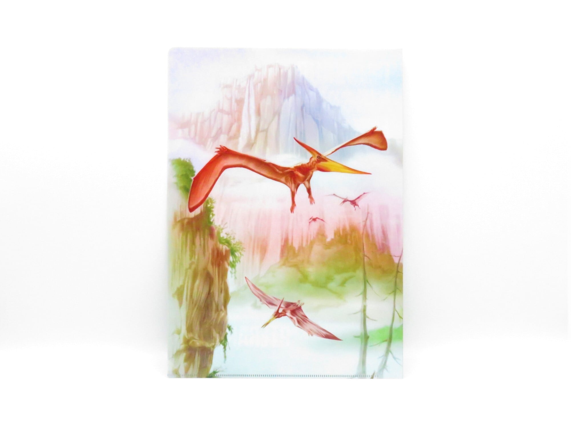 恐竜クリアファイル6枚セット | 福井勝山お土産オンラインショップ