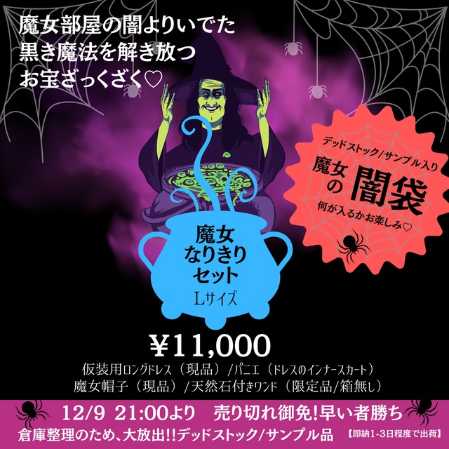 【即納】デットストック✬魔女の闇袋　魔女なりきりセット　Lサイズ　