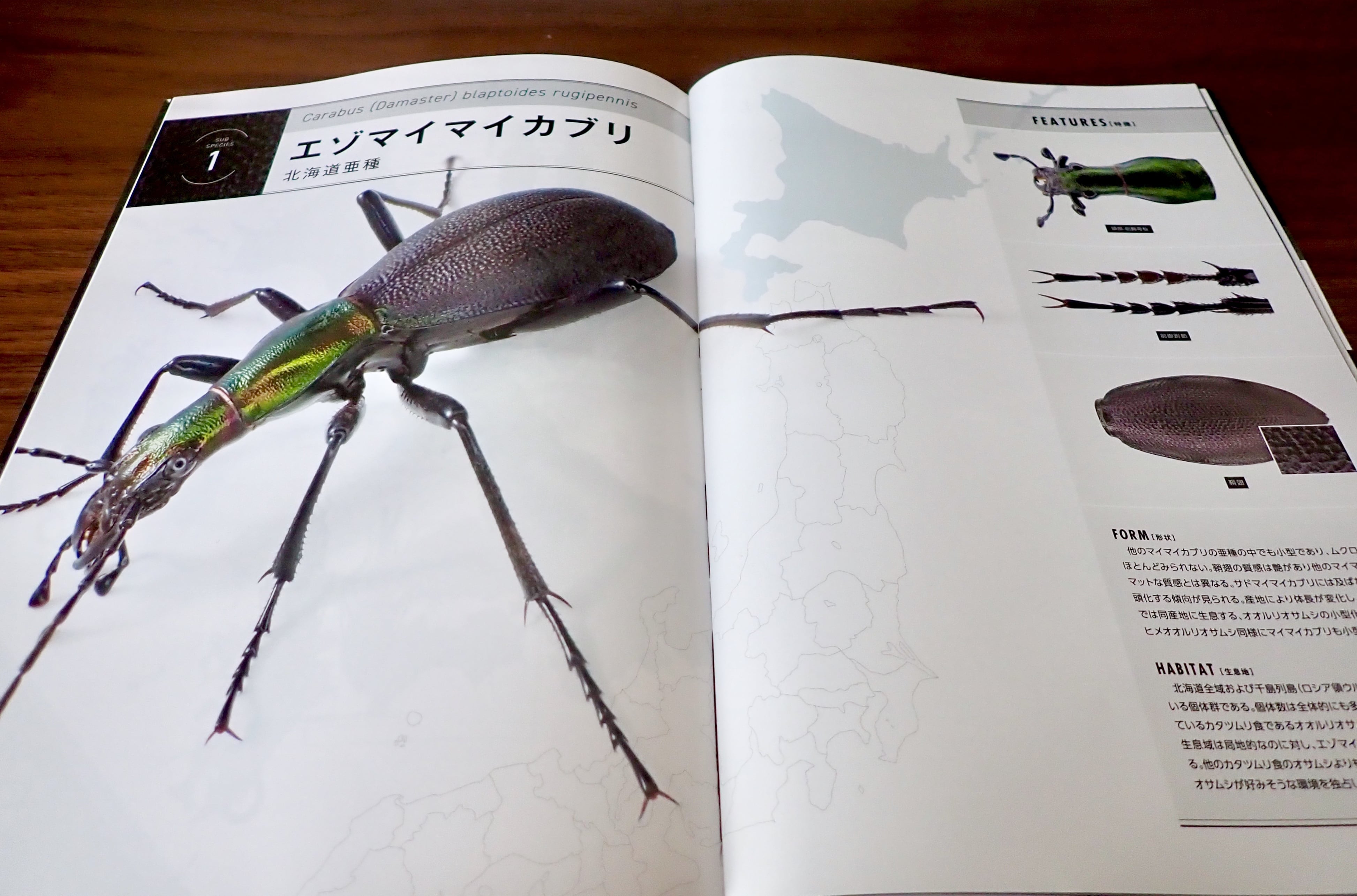昆虫専門雑誌 OSAMUSHI Vol.1×2 Vol.2×2 Vol.3×6 - その他