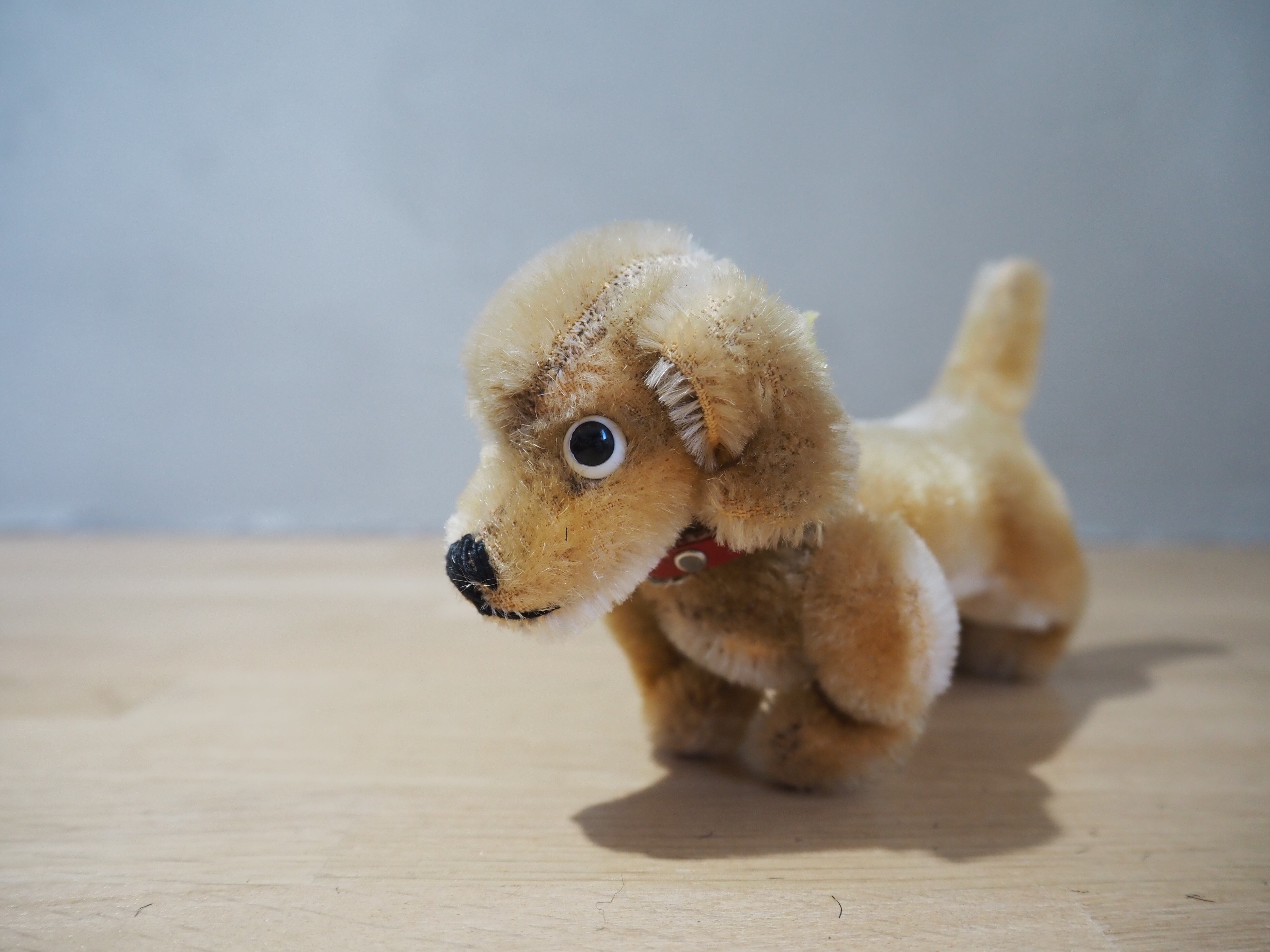 オールド シュタイフ ダックスフンド Steiff Hexie 9cm | ヒガシマチ