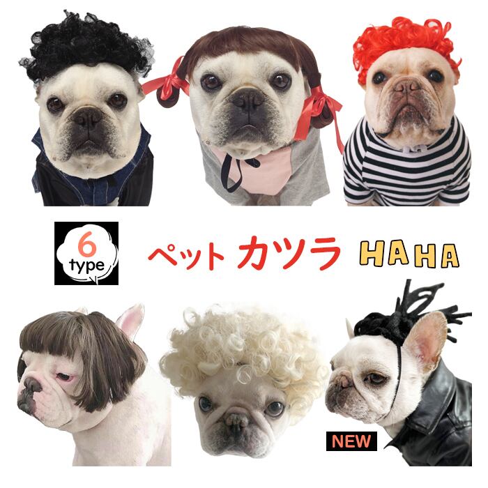 送料無料 Km578g カツラ パーマ おもしろグッズ 変装 フレンチブルドック ペット服 犬服 コスプレ 可愛い 猫服 犬用 面白い コスチューム ハロウィン 小型犬 中型犬 大型犬変身服 出掛け 撮影道具 コスチューム Dearkm フレンチブルドック孔明