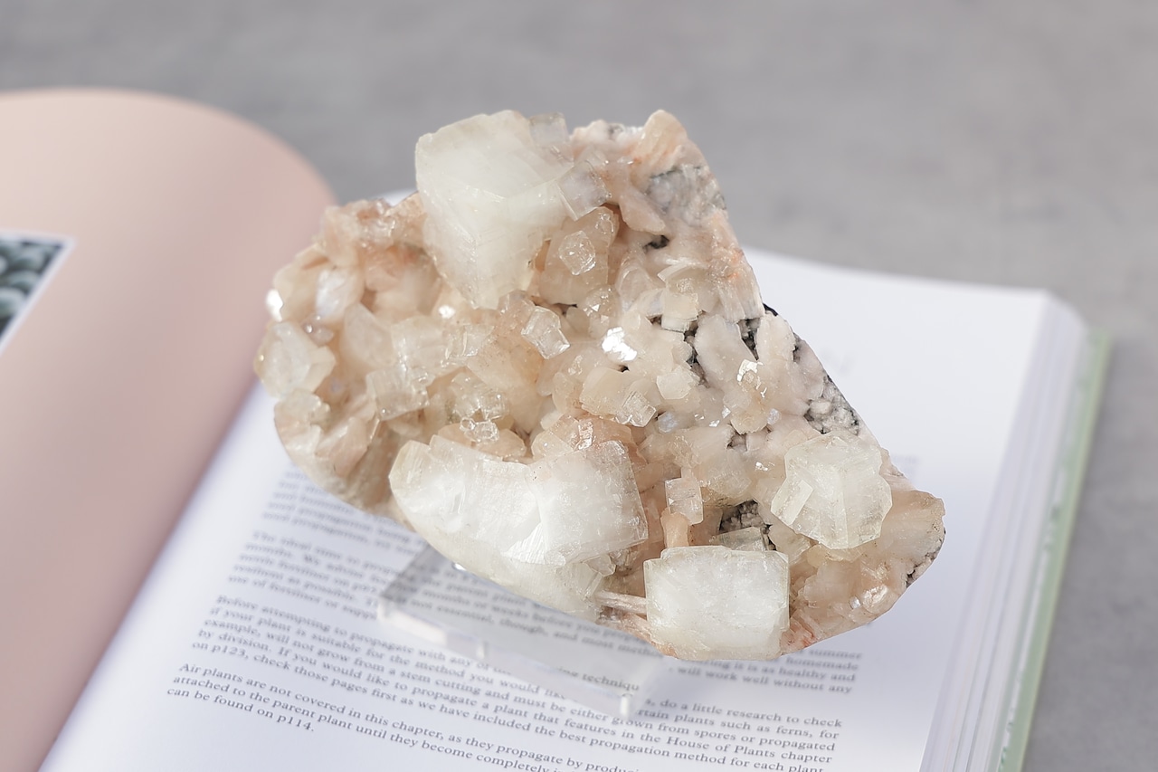 「華やぐ心」ピンクスティルバイト×アポフィライト | Pink Stilbite with Apophylite ◇ 天然石・鉱物・パワーストーン・原石 | st00170