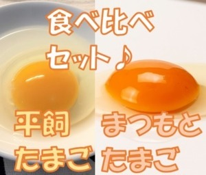 【食べ比べセット♪】平飼い30個・まつもとたまご30個