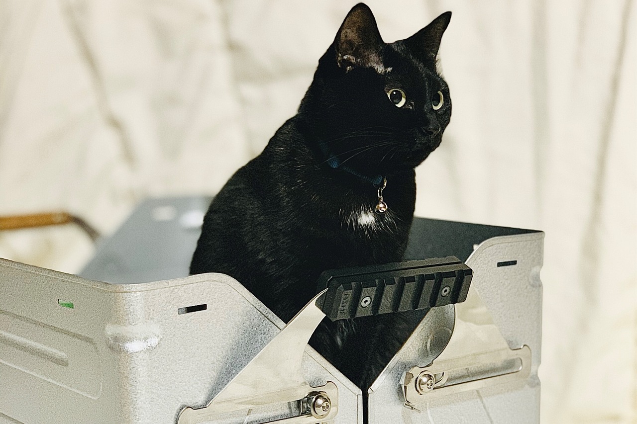 MSMFｸﾞﾘｯﾌﾟ樹脂黒　(ﾐｿﾞﾀｲﾌﾟ)　4ﾊﾟｰﾂ1ｾｯﾄ　（シェルコンにも使用可能）