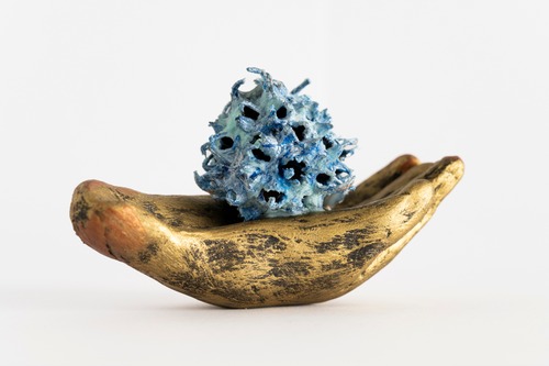 「Sukuu-Ⅱ  seed ball」藤田夢香 作