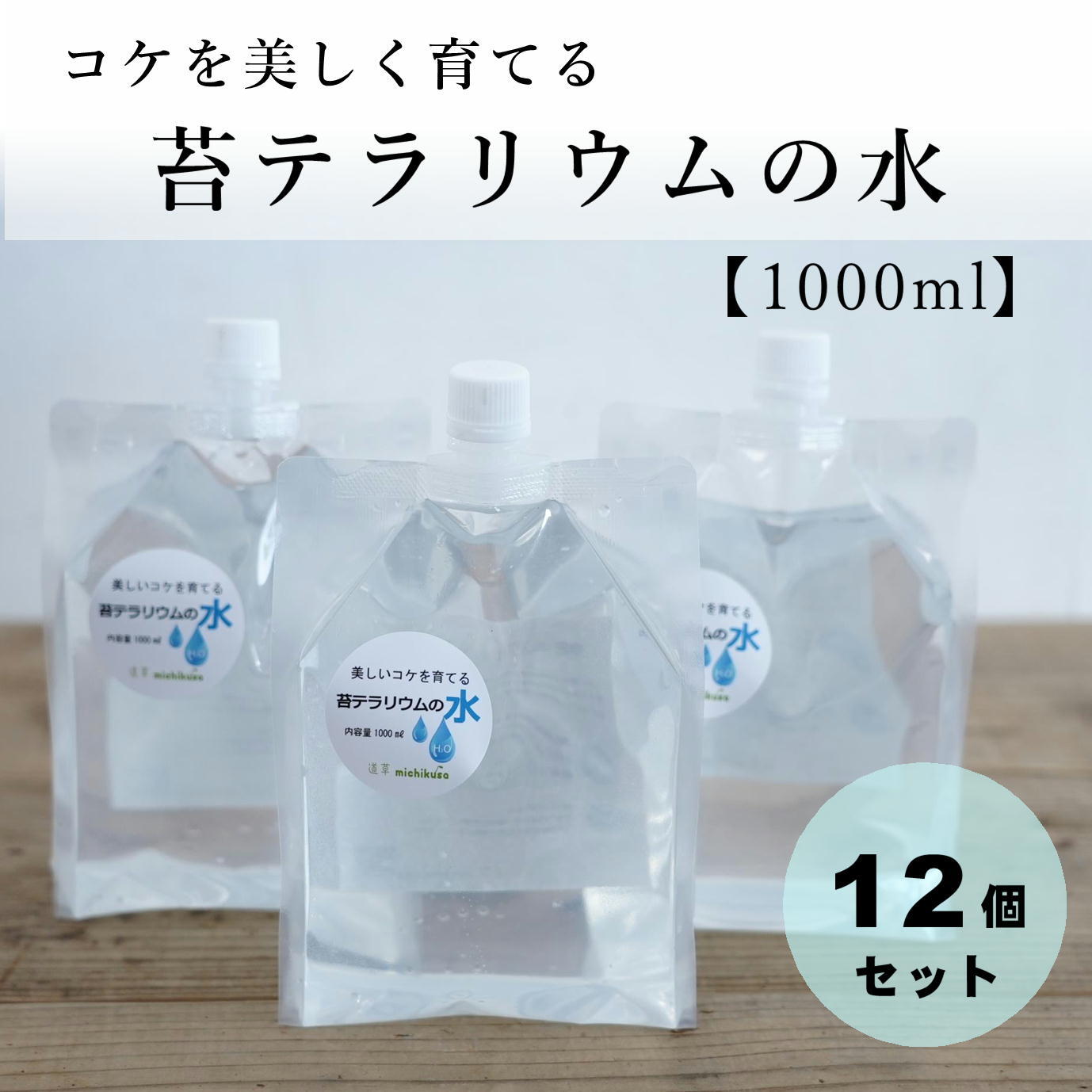 ソイル・石・砂・流木・フィギュア | 苔テラリウム専門ショップ道草