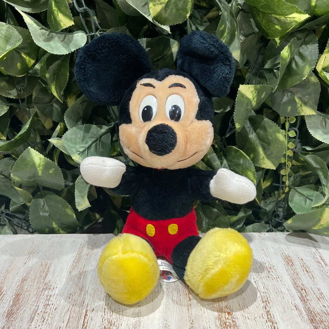 ☆ミッキーマウス☆ディズニーランド☆ウォルトディズニーワールド 