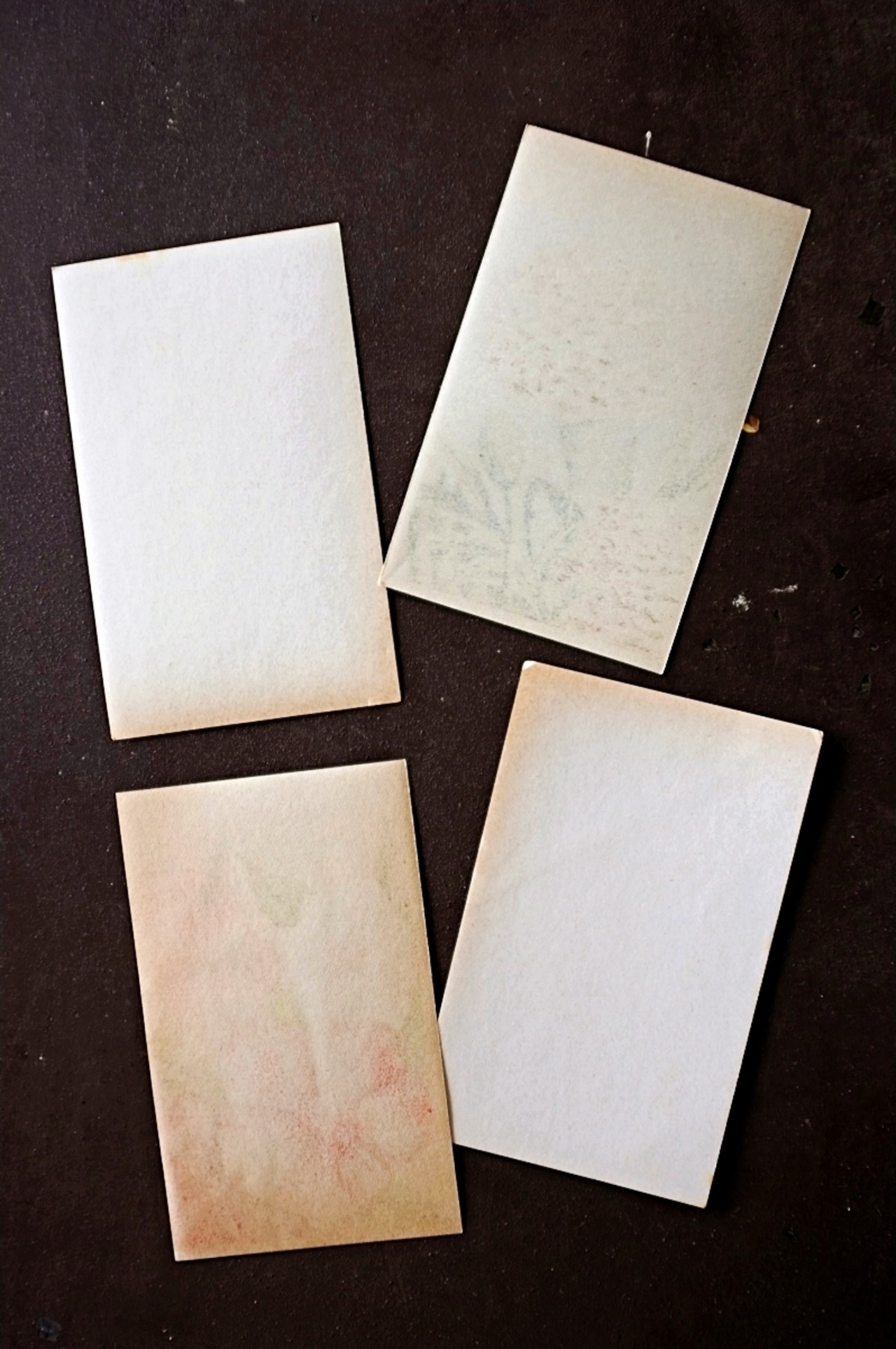 20s フランス 4set 膨満な花々と野菜たち 種子袋用ラベルq アンティーク