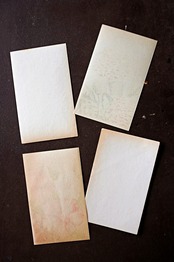 20s フランス 4set 膨満な花々と野菜たち 種子袋用ラベルq アンティーク