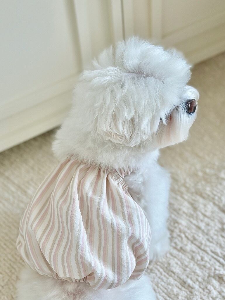 〈予約アイテム〉EYOU / ミルクベイビーバルーン(ミルクストライプ)