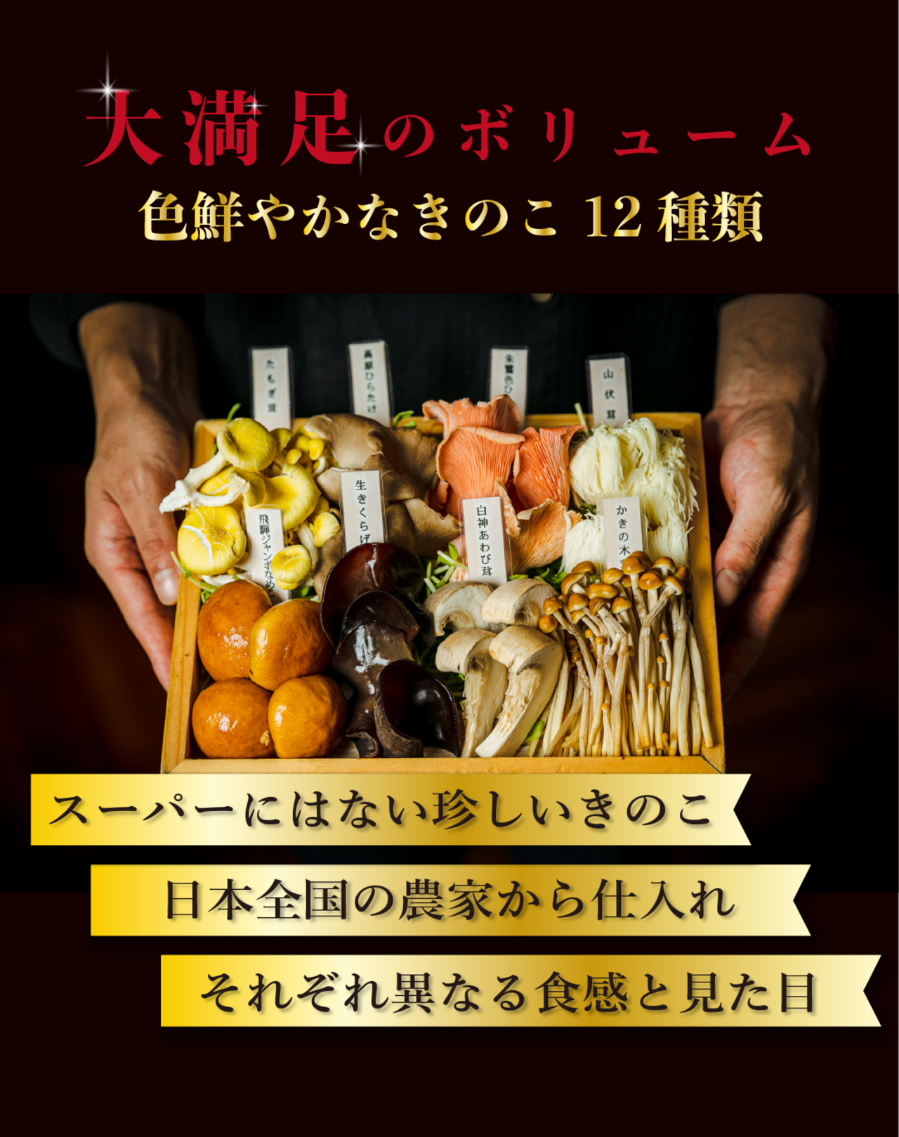 ☆11/29（土）発送☆【厳選きのこ12種と秋野菜付き】　きのこしゃぶしゃぶセット 2名様用