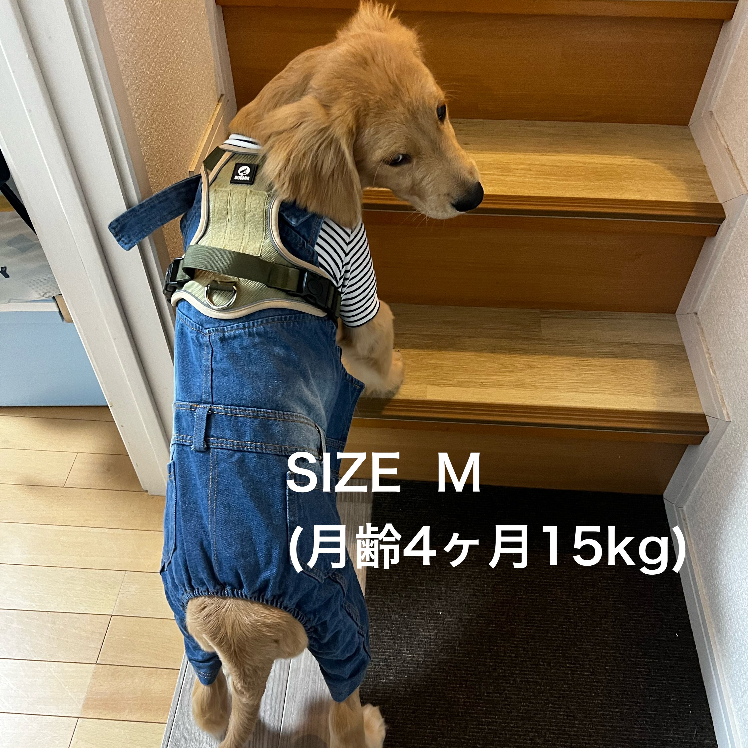 犬 ハーネス 中型犬 大型犬 胴輪 犬ハーネス 抜けない ハーネスベルト