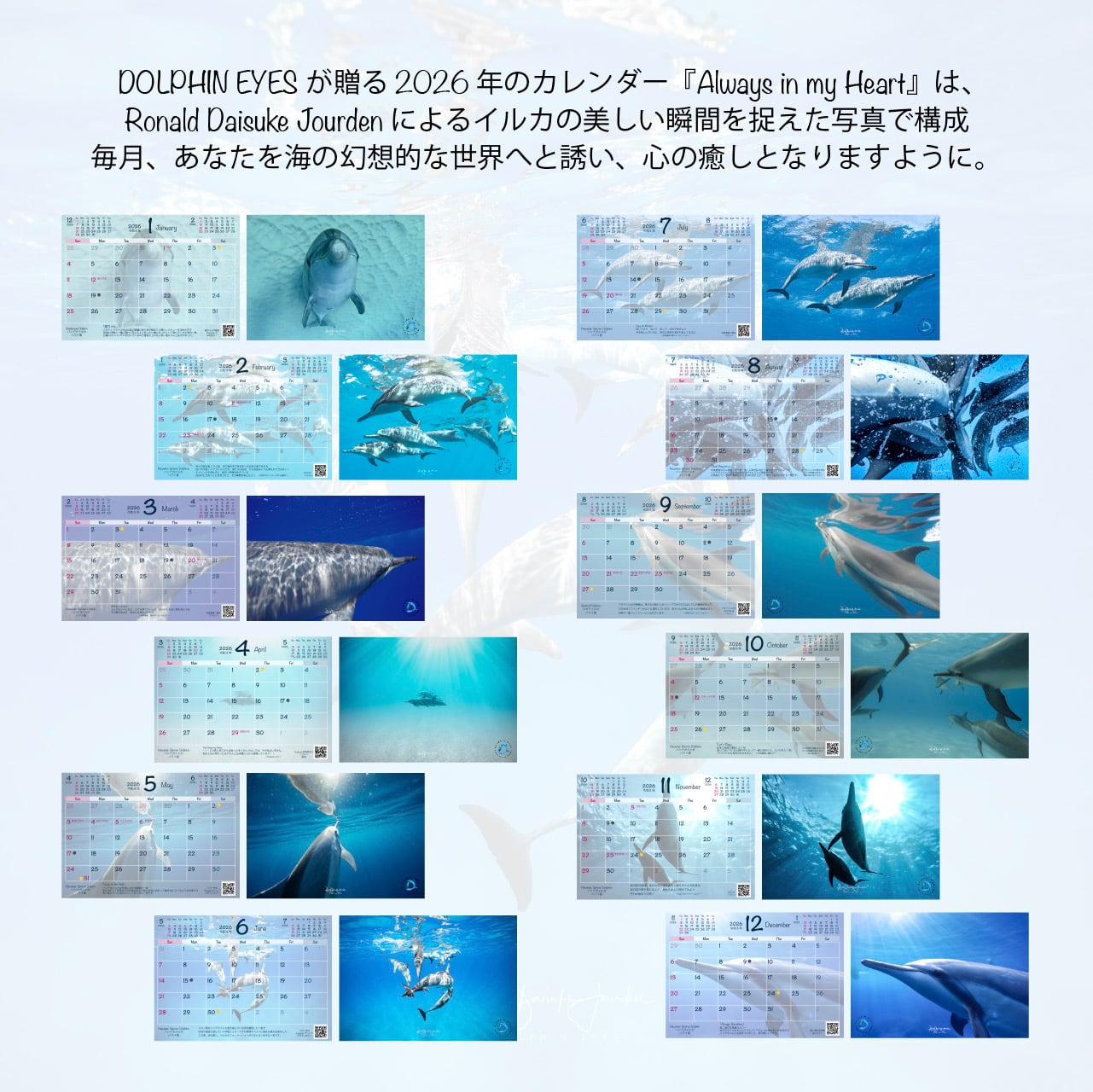 DOLPHIN EYES 2026年 カレンダー 『 Always in my Herat 』 イルカ