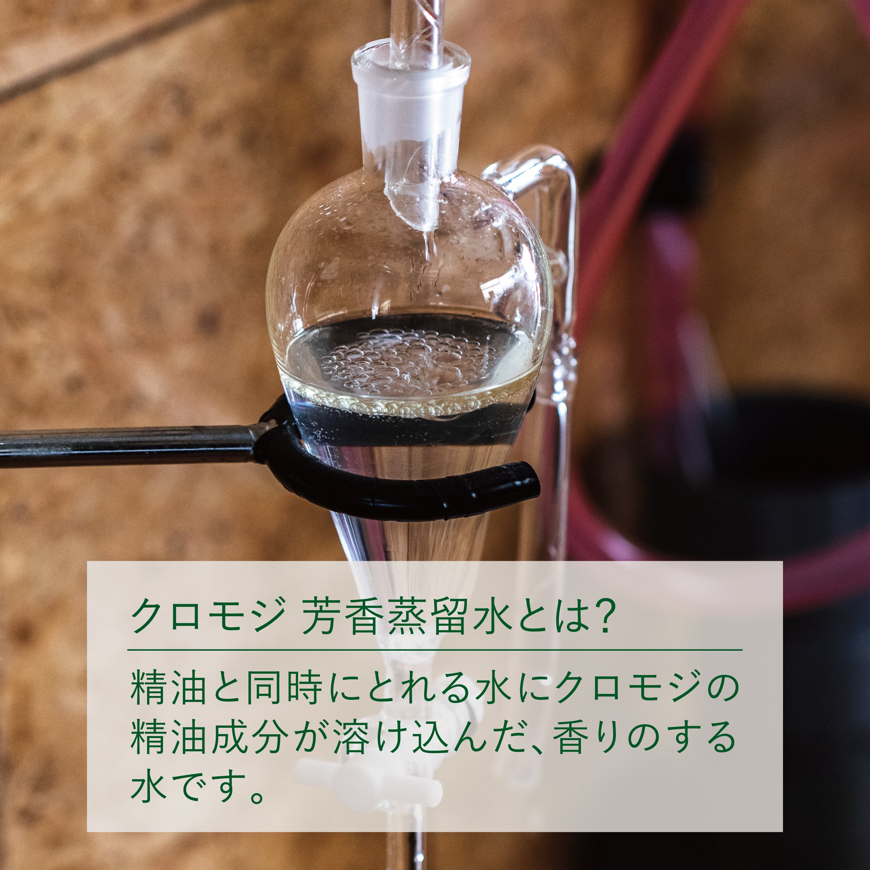 フレッシュ芳香蒸留水 クロモジ500ml〔詰替〕 | Shinchi Ringyo