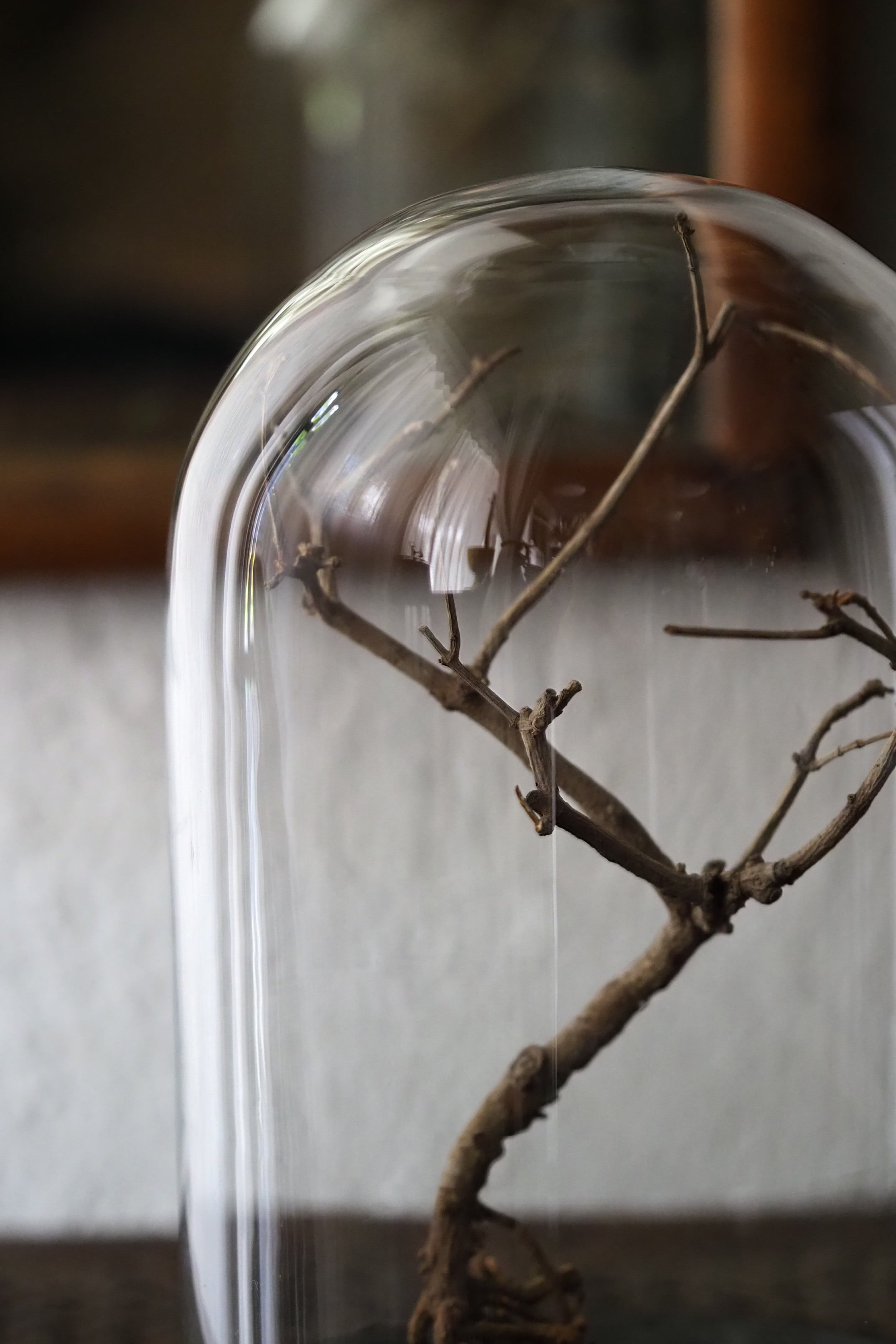 透過性高くガラスドーム-antique glass dome | アンティーク