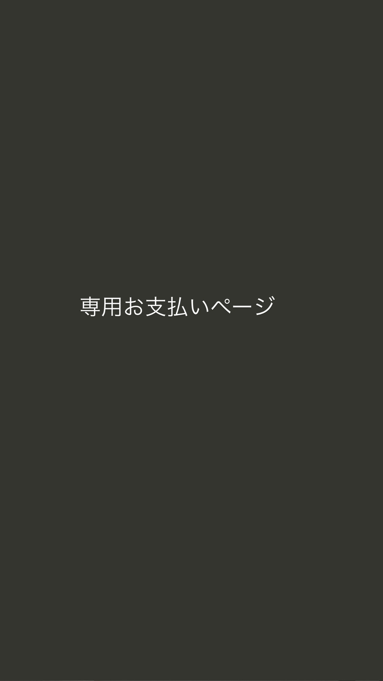 専用お支払いページ  S 様
